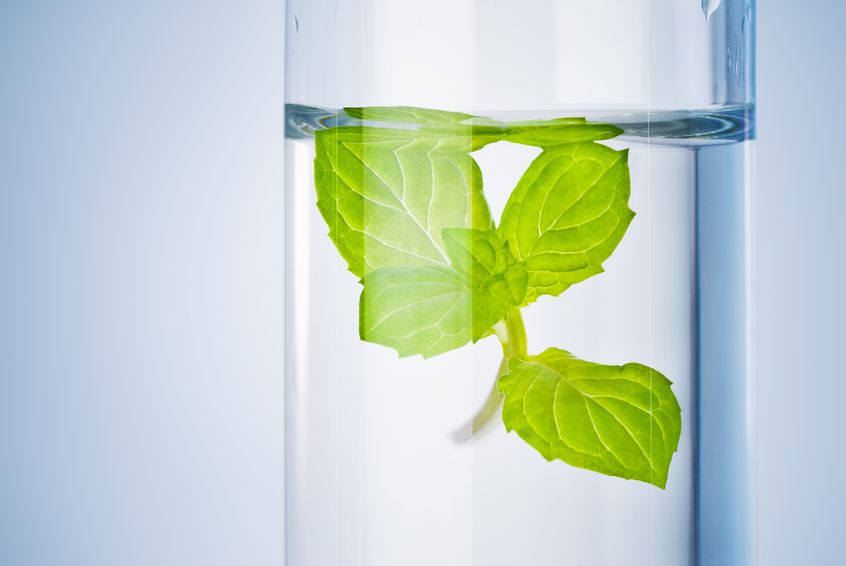 A guide to understanding the regulations and guidelines in the laboratory