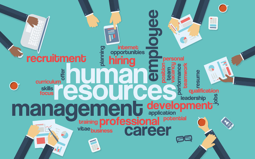 A simple guide to understanding HR