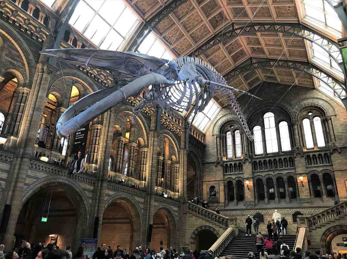 Things to do in London if you are a chemical engineer - Part 1.