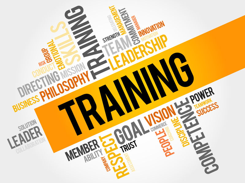 What does a training manager do?