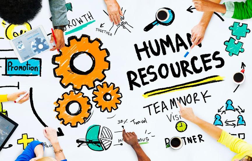 Key skills needed to succeed in HR