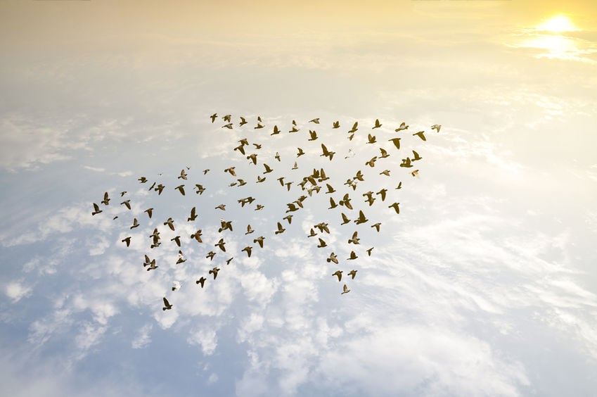7 ways to build your leadership skills