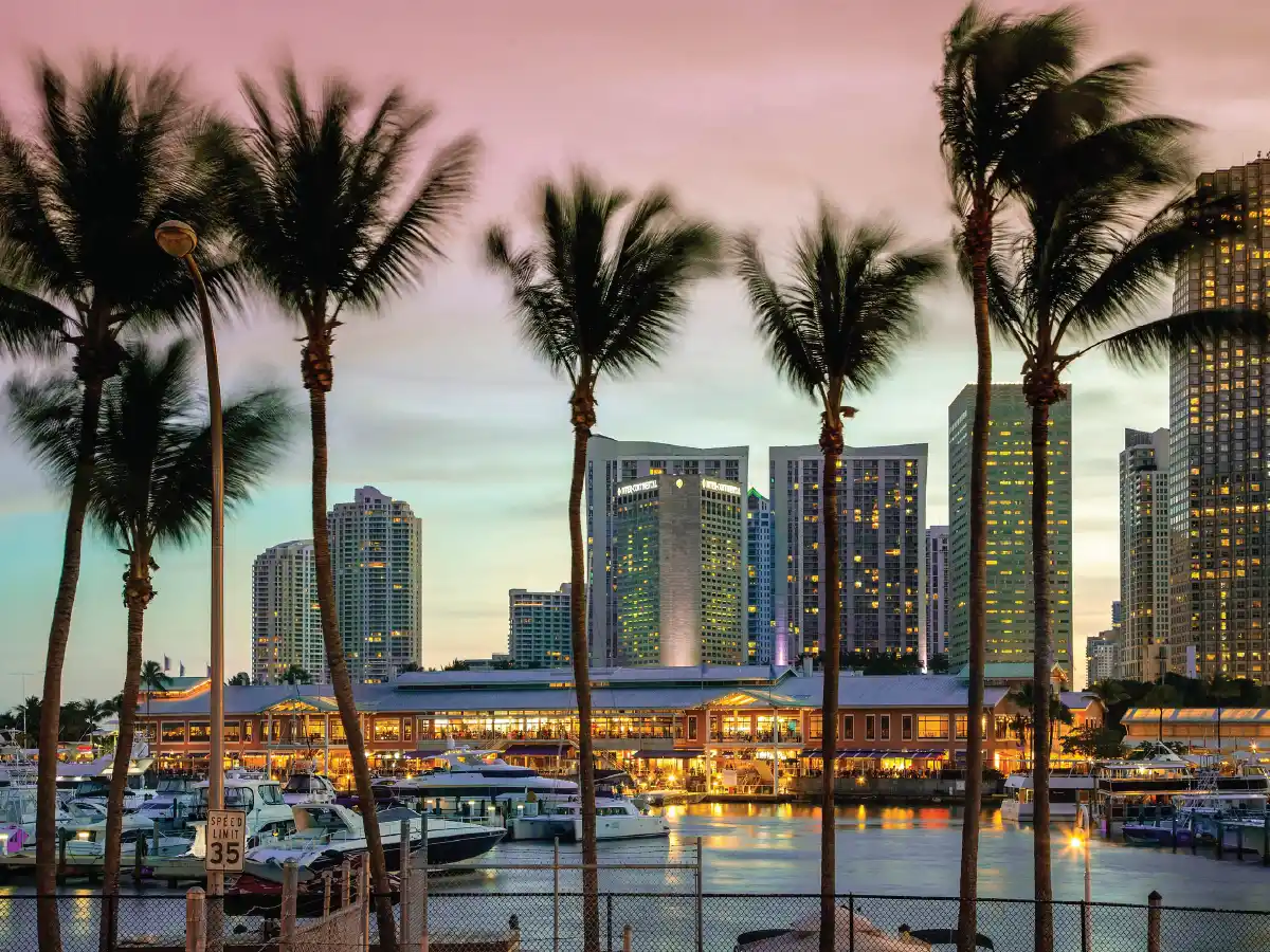 Miami training venue